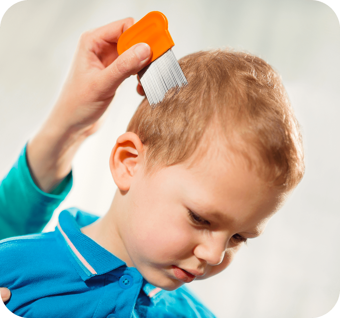 Child getting hair combed with nit comb