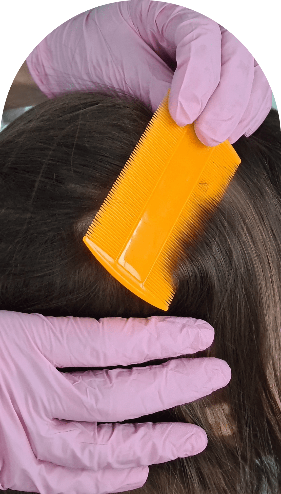 Hair being combed with yellow lice comb