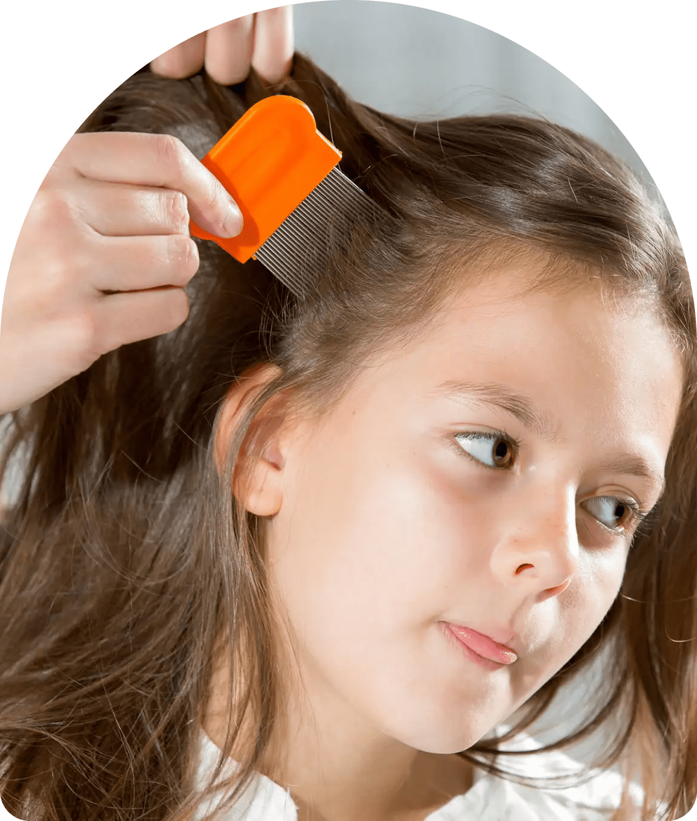 Child's hair being combed with orange comb